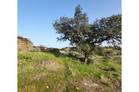 Granja a Evora, Evora, Evora - € 277.000 | Ref: JG1887 - foto 26