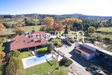 Farm i Belmonte, Castelo Branco, Belmonte - € 975.000 | Ref: 1998 - foto 22