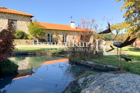 Farm i Belmonte, Castelo Branco, Belmonte - € 975.000 | Ref: 1998 - foto 8