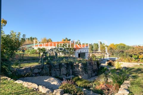 Farm i Belmonte, Castelo Branco, Belmonte - € 975.000 | Ref: 1998 - foto 40