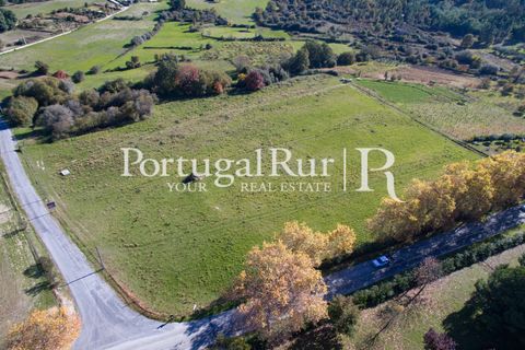 Farm i Belmonte, Castelo Branco, Belmonte - € 975.000 | Ref: 1998 - foto 7