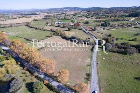 Farm i Belmonte, Castelo Branco, Belmonte - € 975.000 | Ref: 1998 - foto 9