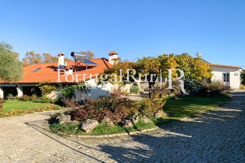 Farm i Belmonte, Castelo Branco, Belmonte - € 975.000 | Ref: 1998 - foto 39