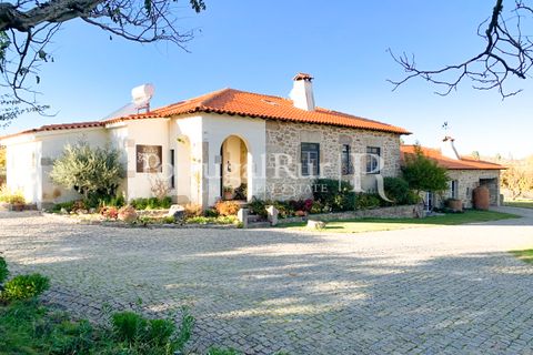 Farm i Belmonte, Castelo Branco, Belmonte - € 975.000 | Ref: 1998 - foto 42