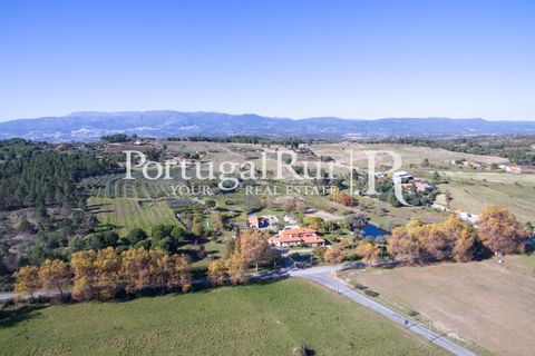Farm i Belmonte, Castelo Branco, Belmonte - € 975.000 | Ref: 1998 - foto 3