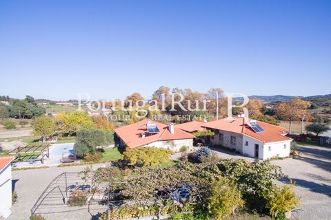 Farm i Belmonte, Castelo Branco, Belmonte - € 975.000 | Ref: 1998 - foto 6