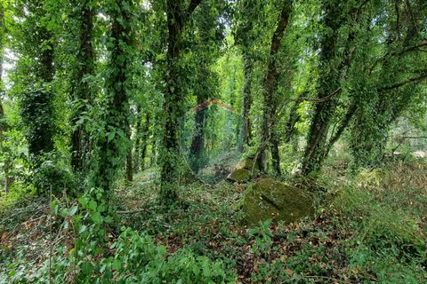 Helårsgrund i Viseu, Viseu, Viseu - € 45.000 | Ref: 1890/V - foto 3