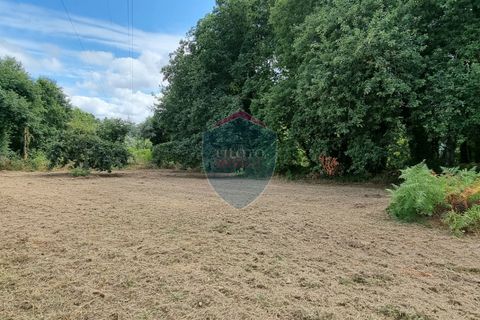 Helårsgrund i Viseu, Viseu, Viseu - € 45.000 | Ref: 1890/V - foto 4