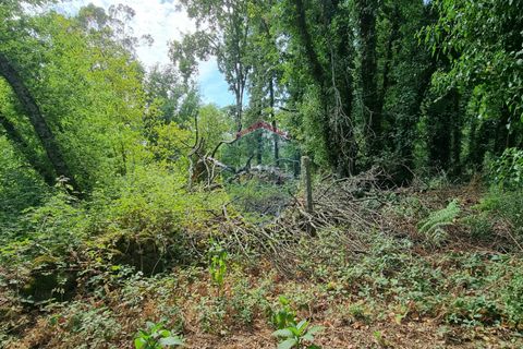 Helårsgrund i Viseu, Viseu, Viseu - € 45.000 | Ref: 1890/V - foto 5