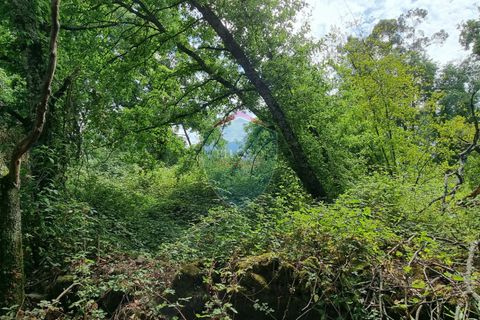Helårsgrund i Viseu, Viseu, Viseu - € 45.000 | Ref: 1890/V - foto 6