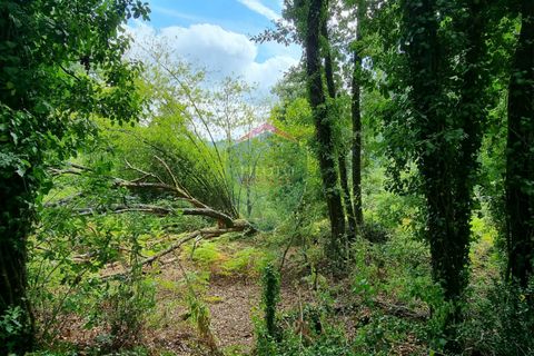 Helårsgrund i Viseu, Viseu, Viseu - € 45.000 | Ref: 1890/V - foto 7