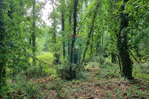 Helårsgrund i Viseu, Viseu, Viseu - € 45.000 | Ref: 1890/V - foto 8