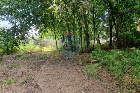 Helårsgrund i Viseu, Viseu, Viseu - € 45.000 | Ref: 1890/V - foto 10