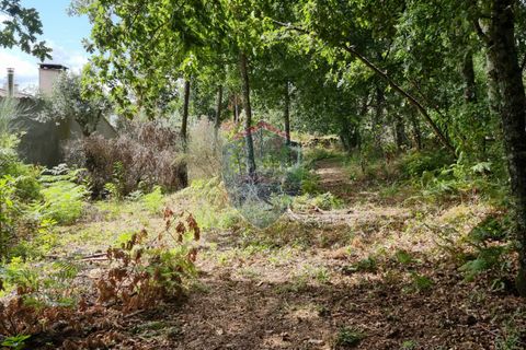 Helårsgrund i Viseu, Viseu, Viseu - € 45.000 | Ref: 1890/V - foto 12