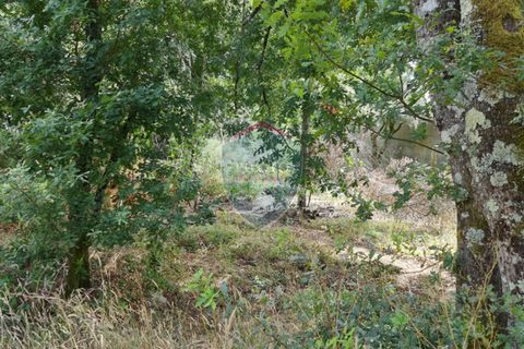Helårsgrund i Viseu, Viseu, Viseu - € 45.000 | Ref: 1890/V - foto 13