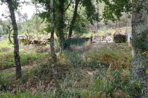 Helårsgrund i Viseu, Viseu, Viseu - € 45.000 | Ref: 1890/V - foto 15