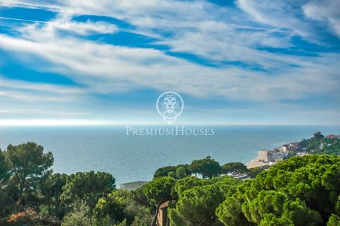 Villa a Sant Pol De Mar, Barcelona, Sant Pol De Mar - € 2.100.000 | Ref: W-022HM8/3699 - foto 40