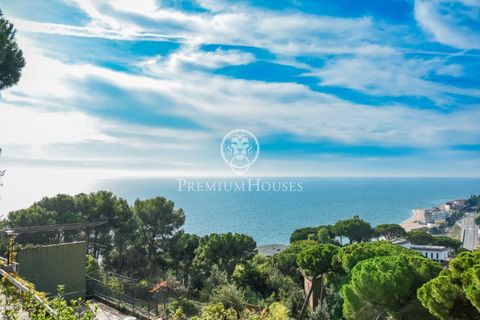 Villa a Sant Pol De Mar, Barcelona, Sant Pol De Mar - € 2.100.000 | Ref: W-022HM8/3699 - foto 47