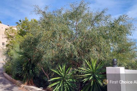Helårsgrund i Mojacar, Almeria, Mojacar - € 170.000 | Ref: 740-3111 - foto 8