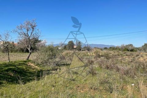 Helårsgrund i Silves, Faro, Silves - € 330.000 | Ref: DI121 SI - foto 4