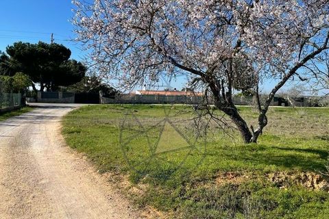 Helårsgrund i Silves, Faro, Silves - € 330.000 | Ref: DI121 SI - foto 8