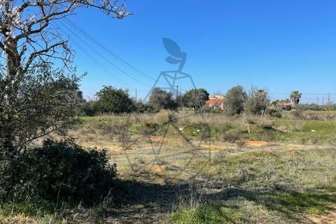 Helårsgrund i Silves, Faro, Silves - € 330.000 | Ref: DI121 SI - foto 10