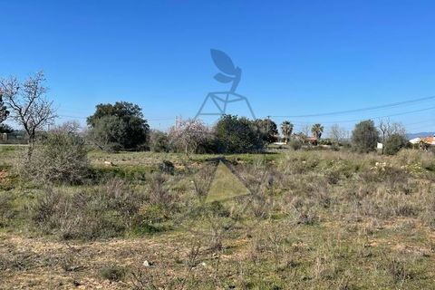 Helårsgrund i Silves, Faro, Silves - € 330.000 | Ref: DI121 SI - foto 12