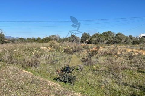 Helårsgrund i Silves, Faro, Silves - € 330.000 | Ref: DI121 SI - foto 14