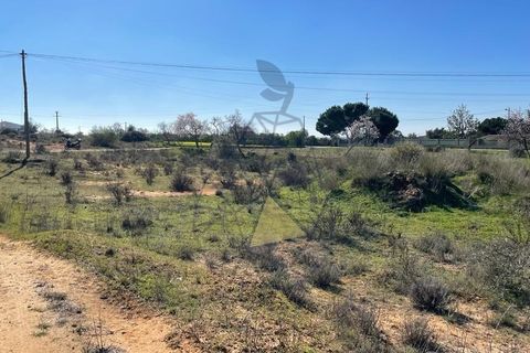 Helårsgrund i Silves, Faro, Silves - € 330.000 | Ref: DI121 SI - foto 18
