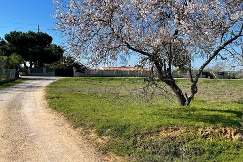 Terreno en Silves, Faro, Silves - € 330.000 | Ref: DI121 SI - photo 8