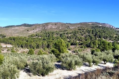 Terra a Planes, Alicante, Planes - € 120.000 | Ref: 8175 - foto 4