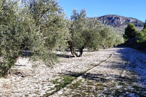 Terra a Planes, Alicante, Planes - € 120.000 | Ref: 8175 - foto 6