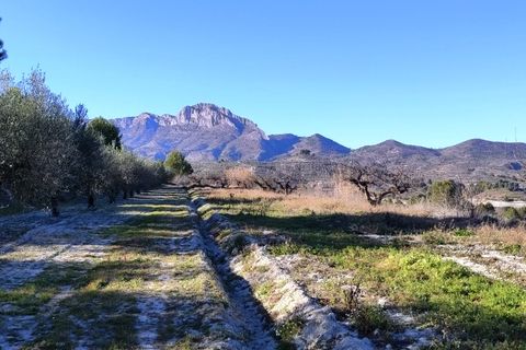 Terra a Planes, Alicante, Planes - € 120.000 | Ref: 8175 - foto 7