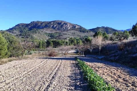 Terra a Planes, Alicante, Planes - € 120.000 | Ref: 8175 - foto 8
