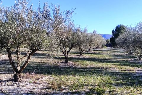 Terra a Planes, Alicante, Planes - € 120.000 | Ref: 8175 - foto 9