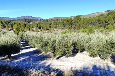 Terra a Planes, Alicante, Planes - € 120.000 | Ref: 8175 - foto 10