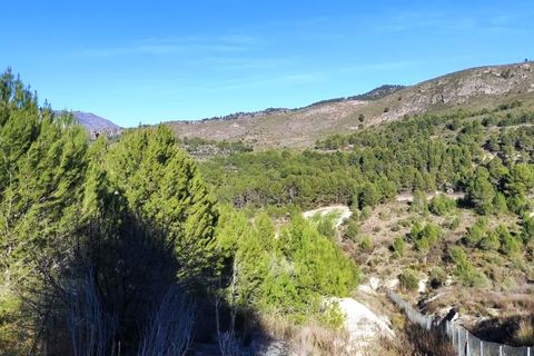 Terra a Planes, Alicante, Planes - € 120.000 | Ref: 8175 - foto 12