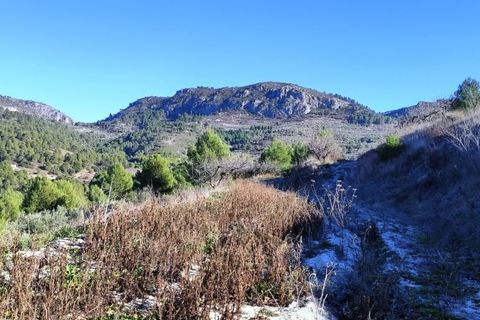 Terra a Planes, Alicante, Planes - € 120.000 | Ref: 8175 - foto 13