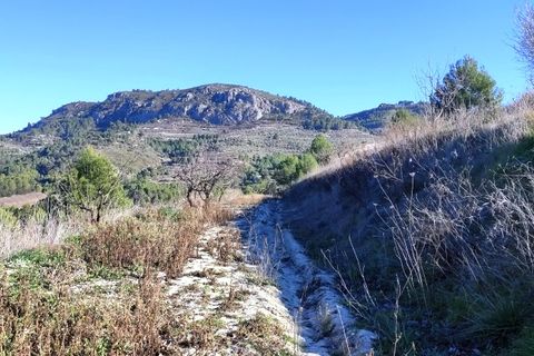 Terra a Planes, Alicante, Planes - € 120.000 | Ref: 8175 - foto 14