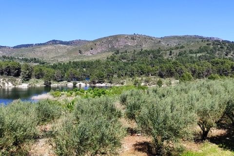 Terra a Planes, Alicante, Planes - € 120.000 | Ref: 8175 - foto 16