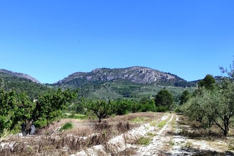Terra a Planes, Alicante, Planes - € 120.000 | Ref: 8175 - foto 17