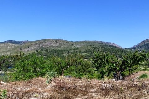 Terra a Planes, Alicante, Planes - € 120.000 | Ref: 8175 - foto 18