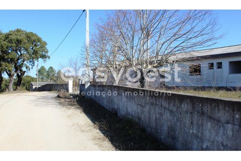 Farm i Abrantes, Santarem, Abrantes - € 800.000 | Ref: TM86848 - foto 4