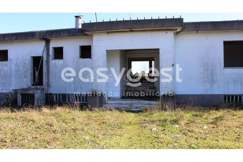 Farm i Abrantes, Santarem, Abrantes - € 800.000 | Ref: TM86848 - foto 5