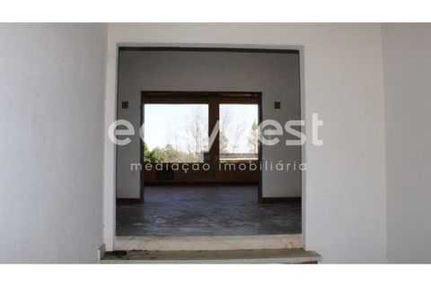 Farm i Abrantes, Santarem, Abrantes - € 800.000 | Ref: TM86848 - foto 6