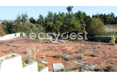Farm i Abrantes, Santarem, Abrantes - € 800.000 | Ref: TM86848 - foto 8