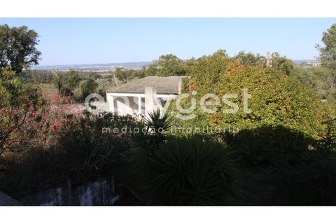 Farm i Abrantes, Santarem, Abrantes - € 800.000 | Ref: TM86848 - foto 9