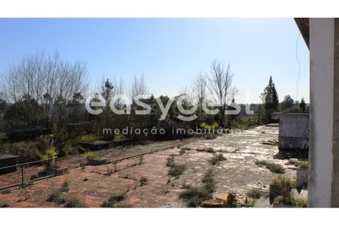 Farm i Abrantes, Santarem, Abrantes - € 800.000 | Ref: TM86848 - foto 11