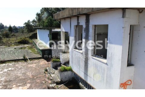 Farm i Abrantes, Santarem, Abrantes - € 800.000 | Ref: TM86848 - foto 12