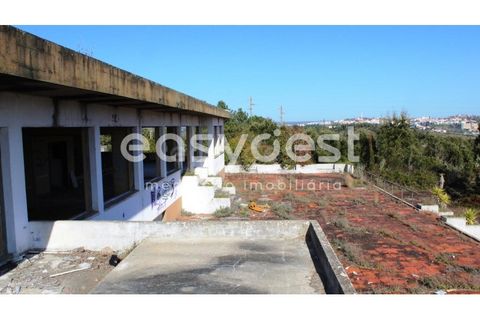 Farm i Abrantes, Santarem, Abrantes - € 800.000 | Ref: TM86848 - foto 13